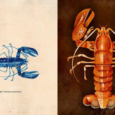 Sách - Wild Animals of the World by Dieter Br.aun (UK edition, hardcover)