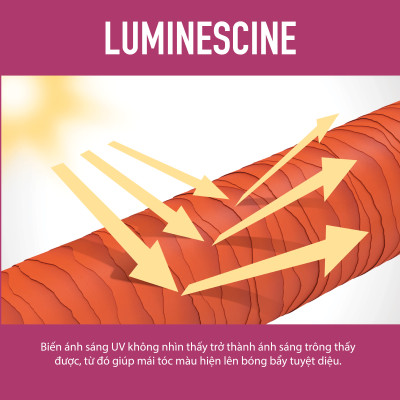 Dầu Xả Giữ Màu Tóc Nhuộm Goldwell Color Extra Rich Dưỡng Tóc Bóng Mượt, Bền Màu Lâu Phai