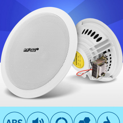 Loa Âm Trần SAST Công Suất 6W Kích Thước 5 inch Mặt Tròn Lưới Mịn PD - Hàng Nhập Khẩu