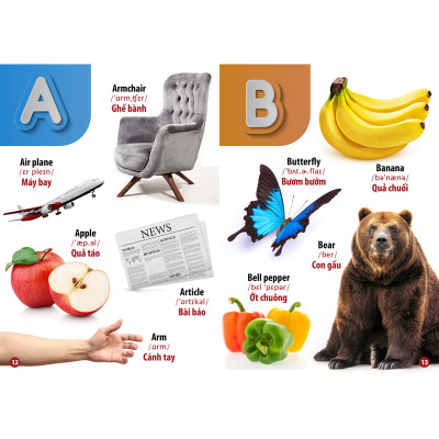 Từ Điển - Thư Viện hình Ảnh Đầu tiên của bé - Thế Giới Động Vật - Chữ Cái Và Số Đếm - Hoa Rau Củ Quả ( bộ 3 cuốn )