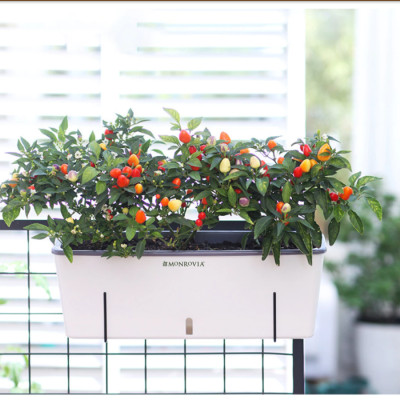 Chậu trồng cây tự tưới hình chữ nhật MONROVIA SC06, chất liệu PP cao cấp, phù hợp trồng hoa, rau