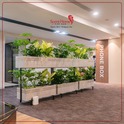 Máy tạo hương thơm cao cấp Scent Homes (SH- ROME AIR)