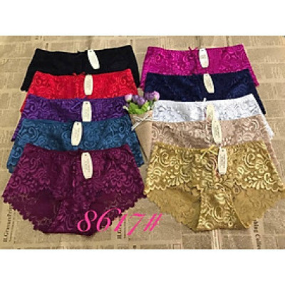 Combo 05 quần lót cao cấp 8617 màu ngẫu nhiên01