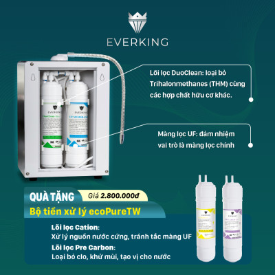 Máy Lọc Nước Điện Giải iON Kiềm EVERKING EK-79 - Hàng Chính Hãng