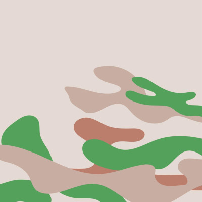 Sách - Mũ Nồi Xanh Việt Nam - Người Đi Gieo Hạt Hòa Bình