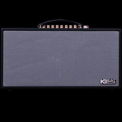 Dàn âm thanh di động xách tay ACNOS CS450SR