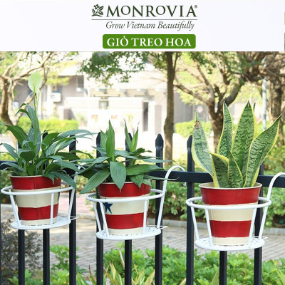 Combo 3 Giỏ treo chậu hoa ban công MONROVIA, giỏ sắt treo chậu hoa ban công, chậu treo ban công, kệ treo ban công, móc treo, khung thép, sơn tĩnh điện chính hãng thương hiệu MONROVIA 