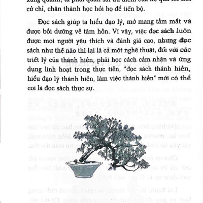 Vi Lô Dạ Thoại