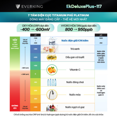 Máy Lọc Nước Điện Giải iON Kiềm EVERKING EKDeluxePlus-117  - Hàng Chính Hãng