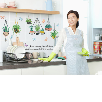 Decal dán tường giỏ xương rồng SK9329