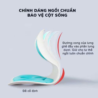 Ghế Công Thái Học Chỉnh Dáng Ngồi - Ghế Tựa Lưng Chống Cong Vẹo Cột Sống Cho Nam, Nữ, Trẻ Em - HÀNG CHÍNH HÃNG MINIIN