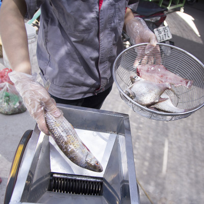 Máy thái cá inox 3A2,2Kw - Cắt cá làm thức ăn chăn nuôi thủy hải sản - Hàng Chính Hãng