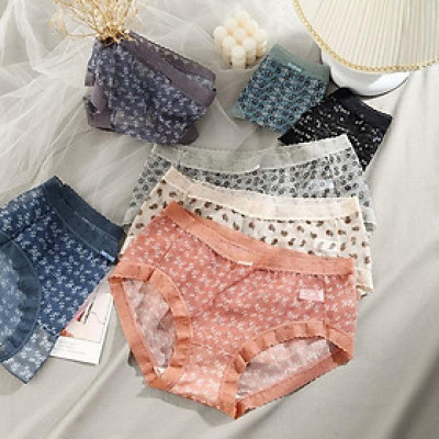 Combo 5 Quần Lót Nữ Voan Hoa Nhí Vintage – Lưng Cao, Big Size 2354