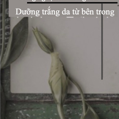 Kem dưỡng ẩm và trắng da NoTS White Luminaire Spot Correcting Cream 30g