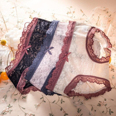 Combo 5 Quần Lót Nữ Bông Ép Viền Ren 2288 – Lụa Mềm, Viền Ren Phối Hoa
