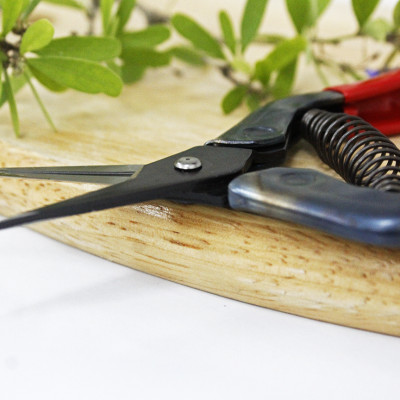 Kéo tỉa cành cao cấp Nhật Bản Chikamasa T-5C chiều dài lưỡi 35mm - lưỡi thép không gỉ chất lượng cao siêu bén - Cắt ngọt, không bám dính, liền sẹo nhanh