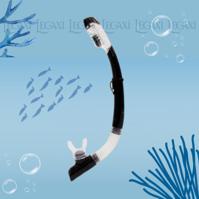 Ống Thở Bơi Lặn Biển Ngắm San Hô Đáy Biển Dã Ngoại Picnic