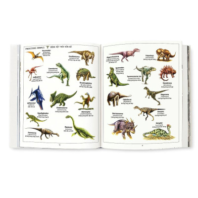 Sách - Một Nghìn Từ Tiếng Anh Đầu Tiên - My First 1000 Words - Đông A