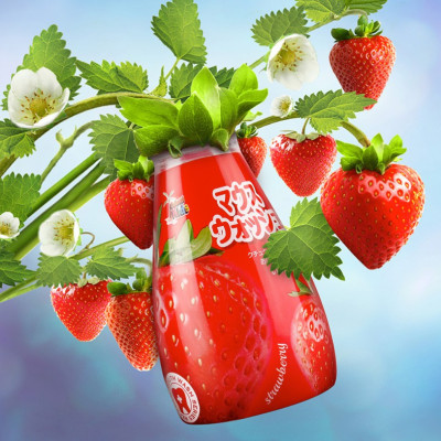 Nước súc miệng trẻ em Diệt khuẩn dịu nhẹ Kid Nhật Bản 340ml