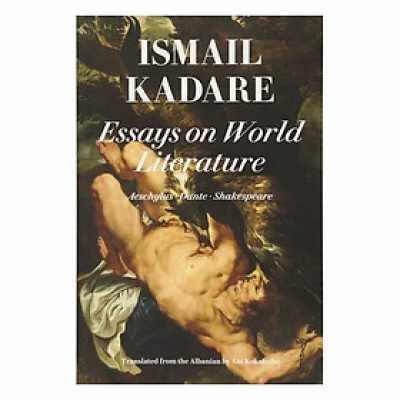 Essays On World Literature