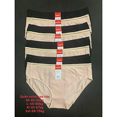 Combo 10 Quần lót thun coton cạp cao hàng việt nam loại cao cấp (Từ 40kg đến 77kg)