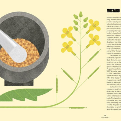 Sách - Preserved: Condiments - 25 Recipes by Darra Goldstein (UK edition, Hardcover)