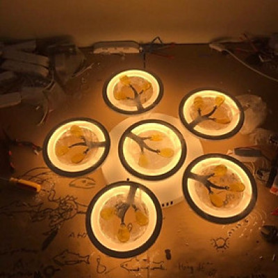 Đèn trần mâm 6 cánh tròn DT