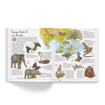 Sách - Atlas Động Vật - Đông A