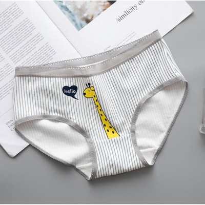 Sét 5 Quần Lót Cotton ( Mã B231)