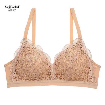  Áo Lót Ren Hoa BaBy Mềm Cao Cấp ( Kèm video và Ảnh Thật )