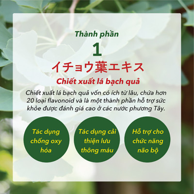 Viên Uống Nattokinase 3000FU Phòng Ngừa Đột Quỵ, Bổ Não, Giúp Ngủ Ngon Natto Ichou Genki Fami Nhật Bản Túi 30 Viên