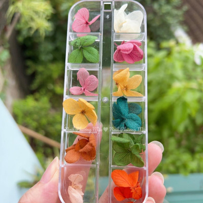 Set Hoa Khô Đắp Gel Ẩn Móng 12 Màu, Trang Trí Nail Độc Đáo, Tạo Hiệu Ứng Đẹp, Chùm Hoa Nhiều, Làm Nail Chuyên Nghiệp Women Nữ Sơn Gel