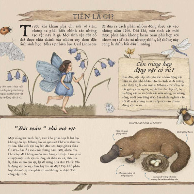 Sách - Cẩm Nang Về Tiên - Bìa Cứng