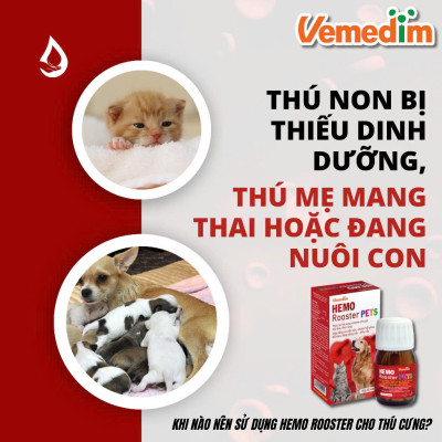 Vemedim Hemo Rooster Pets Bổ Máu, Tăng cơ, Bền sức, Nhanh Hồi phục cho Chó mèo - Hộp 50 viên