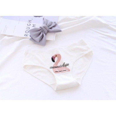 Combo 10 quần lót nữ tam giác cotton hình thiên nga