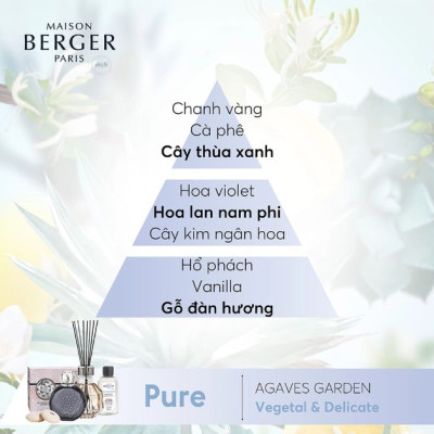 Maison Berger - Tinh dầu đèn xông hương Agaves Garden - 500ml