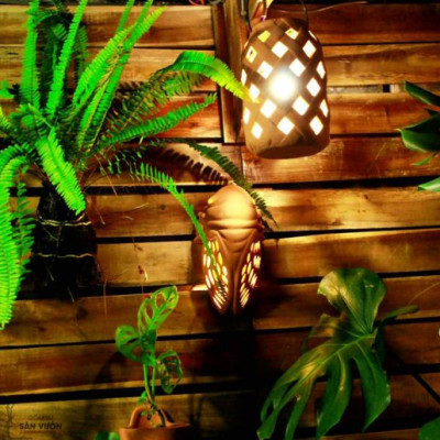 Decor Gốm Đất Nung Trang Trí Hình CON VE (Cicada Terracotta decoration) size 25x15cm