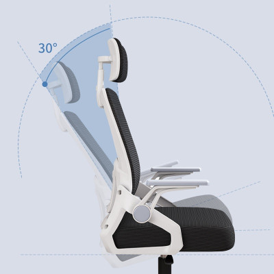 Ghế công thái học nâng hạ độ cao, ghế xoay văn phòng, ghế làm việc công sở, New Beginning ECE588