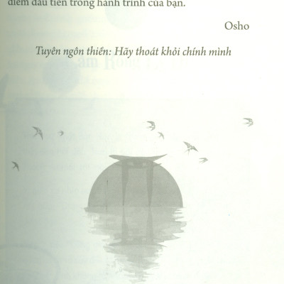 Như Chim Sải Cánh (A Bird On The Wing): Giai Thoại THIỀN Cho Đời Sống Tỉnh Thức - Osho, Thái An dịch