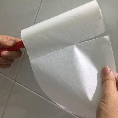 CÂY LĂN BỤI TCT 2490