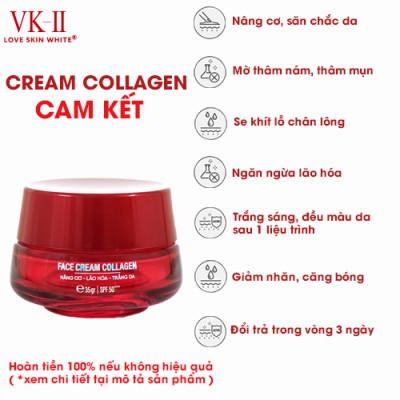 Kem Nâng Cơ Lão Hóa Trắng Da VK II 35g