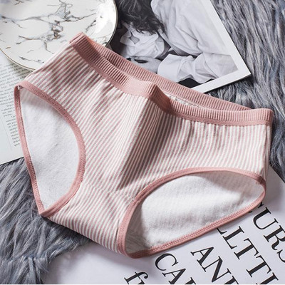 Combo 5 Quần lót cotton thun co giãn thời trang QL 8138