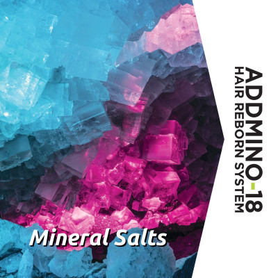 HẤP DẦU (DẦU XẢ) TÁI SINH TÓC - 500ML (Addmino - 18 2 Hair Reborn Mask)