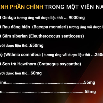 Viên uống bổ não nhập khẩu chính hãng New Zealand GO GINKGO 9000+ (60 viên) hỗ trợ tăng cường tuần hoàn não, cải thiện trí nhớ, tăng khả năng tập trung