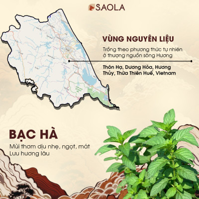 Cao tinh dầu Sao la (Saola Essential Oil Balm) 11g - Hỗ trợ giảm đau lưng, nhức mỏi, đau khớp, giúp ngủ ngon. Sản phẩm sản xuất từ các loại dược liệu thiên nhiên - Hàng Chính Hãng