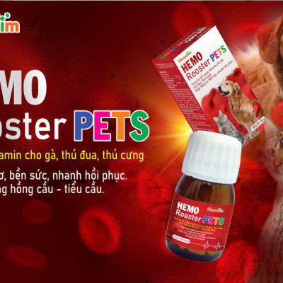 Vemedim Hemo Rooster Pets Bổ Máu, Tăng cơ, Bền sức, Nhanh Hồi phục cho Chó mèo - Hộp 50 viên