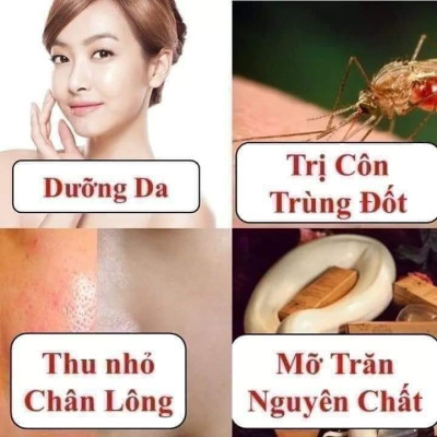 Mỡ Trăn N