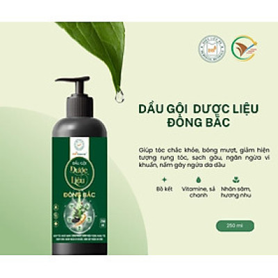 Dầu gội thảo dược Đông Bắc