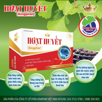 Hoạt huyết dưỡng não Kingphar, hộp 30 viên, nguyên liệu nhập Pháp