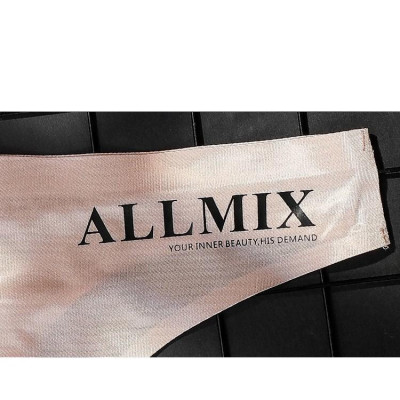 Quần Lót Lọt Khe Băng Lụa Cao Cấp Không Đường May Siêu Mềm Có chữ ALLIMIX (WL33)